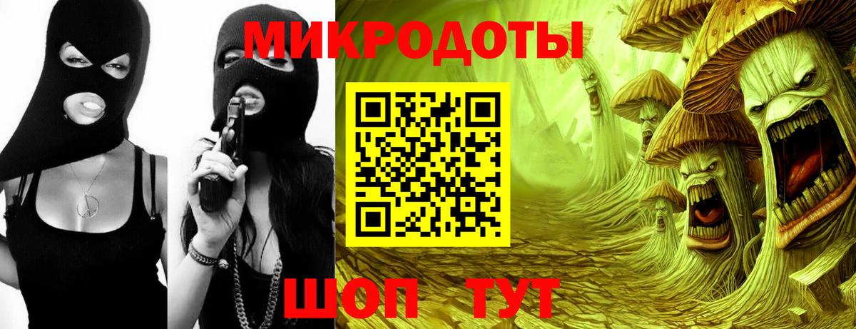 Александров  Псилоцибиновые грибы Cubensis  купить наркоту  Вход с VPN  Псилоцибиновые грибы Psilocybe 